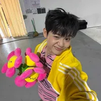 Lê Hồ Phước Thịnh