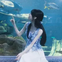 Tô Mộc Y