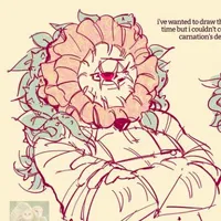 🌸carnation🌸
