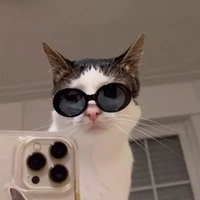 tác giả siu đáng iuuu