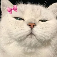 nhỏ tg