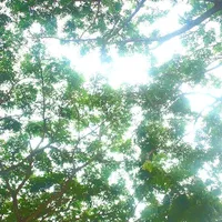 all trừ ai thì trừ