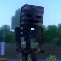 Ma Xương Đen ( Wither )