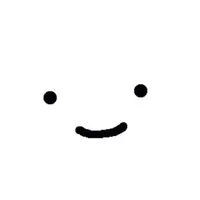 Y/N