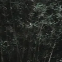 Mọi Ngườ