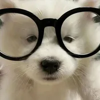Tác giả vui vẻ