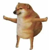 Chó