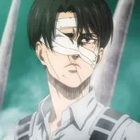 Levi