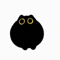 Báo