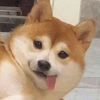 Pan