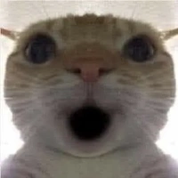 everyone