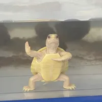 @Rùahồgươm