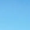 tất cả nv