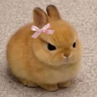 개인 