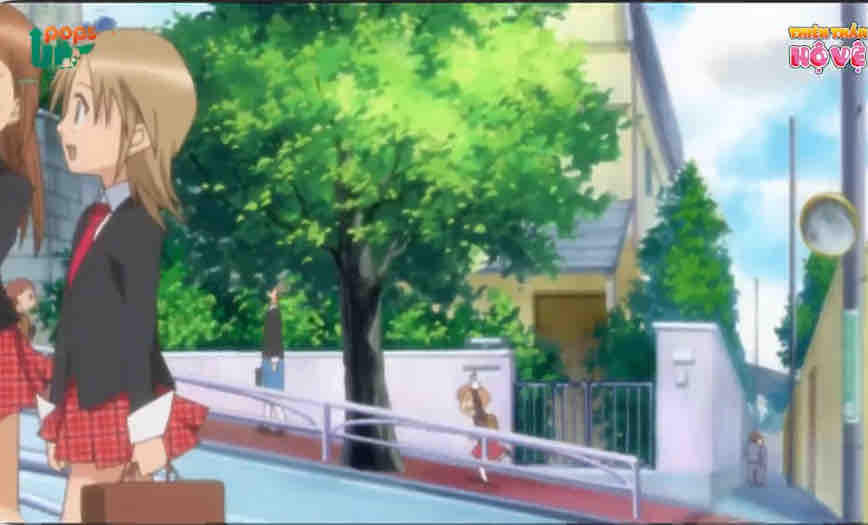 NovelToon