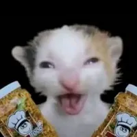 tôi
