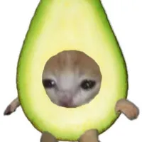 🥑(bơ)