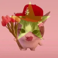 tg đâyy😆😆