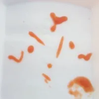 t/g