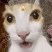 T/g dễ trầm kẽm