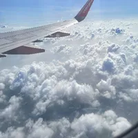 chị tớ{chị thỏ}
