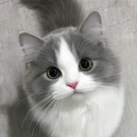 miu