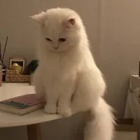 su