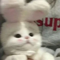 Kemm