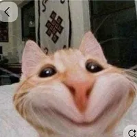 tác giả nì
