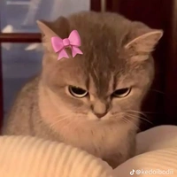 tác giả 