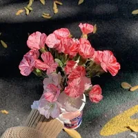 alltop ( trừ ai thì trừ)