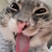 tg