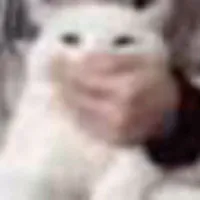 meo ko keu duoc