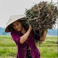 Mẹ của Vũ