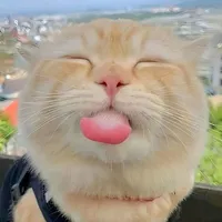 Lin