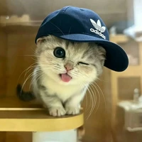 Tác giả là tớ