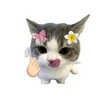 t/g