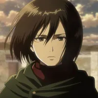 mikasa
