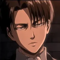 Levi