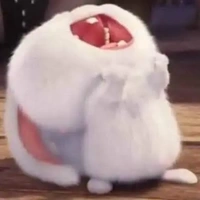 T/g gia trưởng