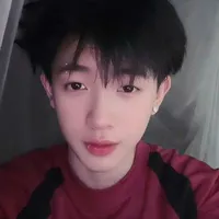 Việt Long