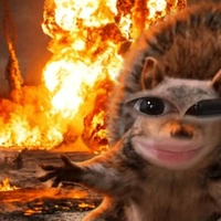 Miêu Miêu🐢
