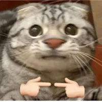 Tác giả đâyyyy hú hú