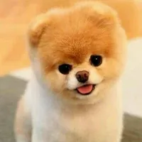 mi