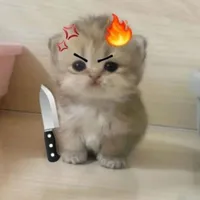 À thế mà lại hay 
