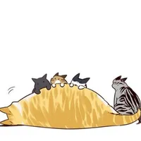 all(- nhưng người cần - )