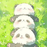 Chao xìn^^