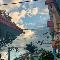 tác giả 