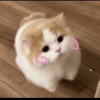 Paopao/HT/
