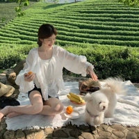 Phạm Như Ý